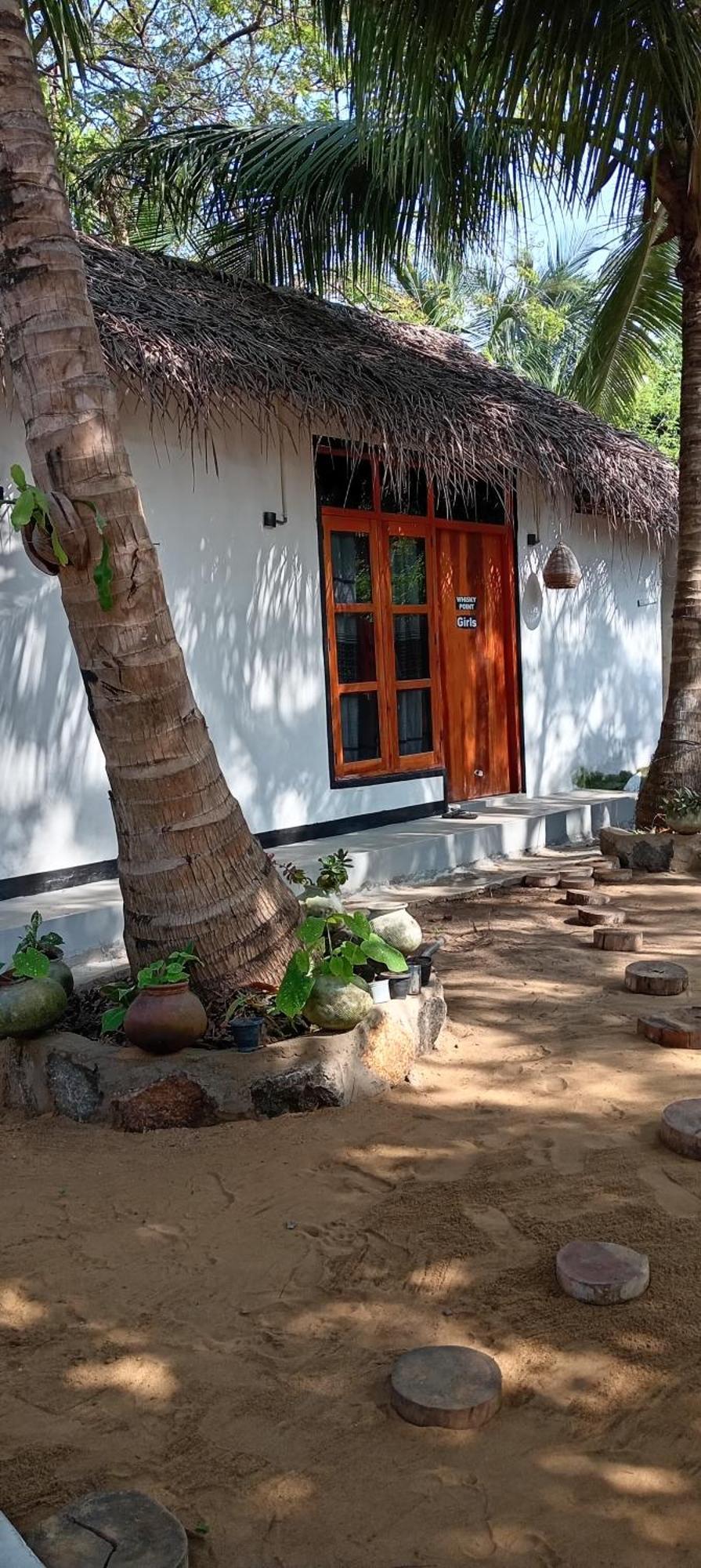 Surfing Lion Hostel Аругам Бей Екстериор снимка