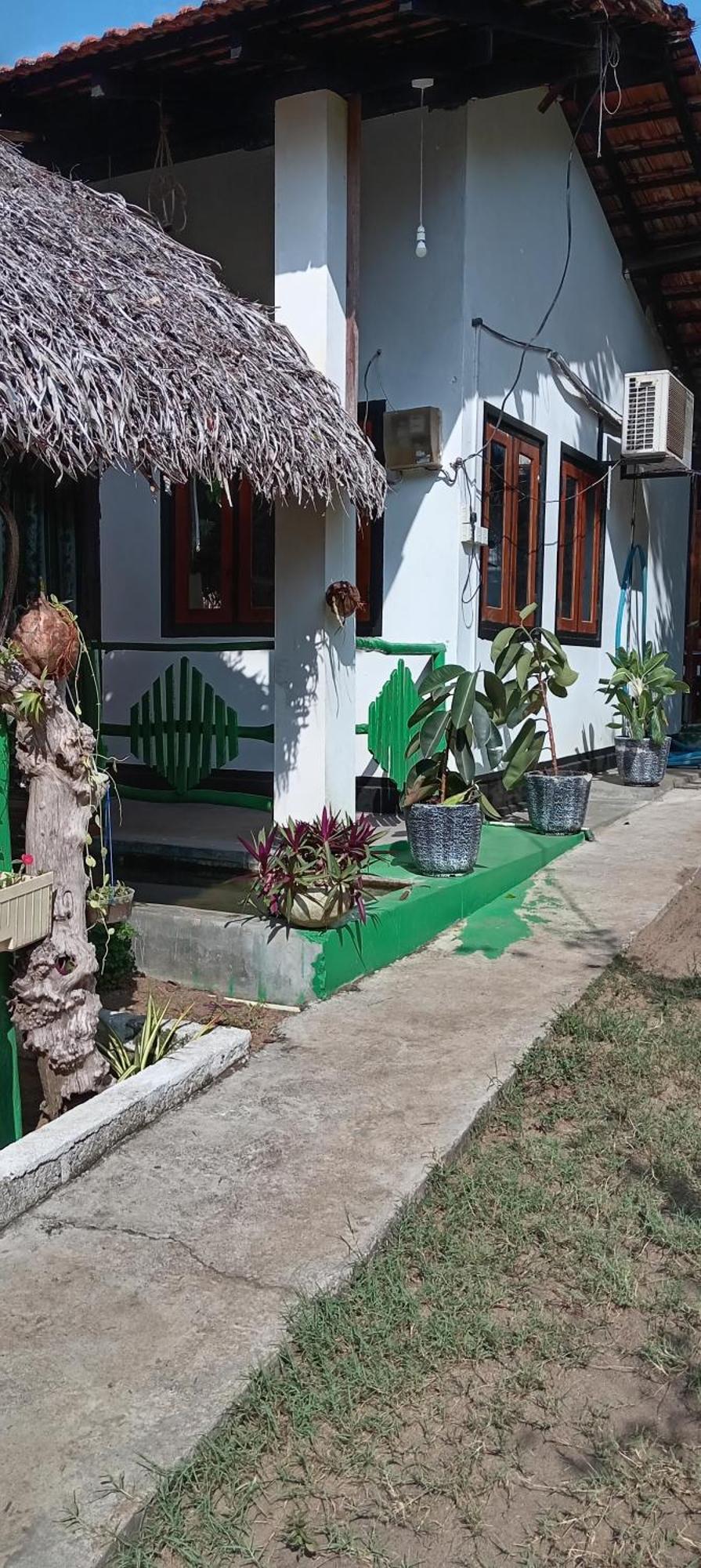Surfing Lion Hostel Аругам Бей Екстериор снимка