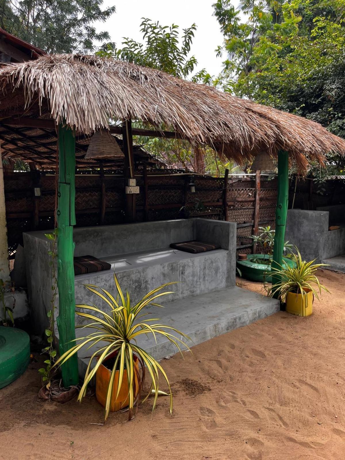 Surfing Lion Hostel Аругам Бей Екстериор снимка