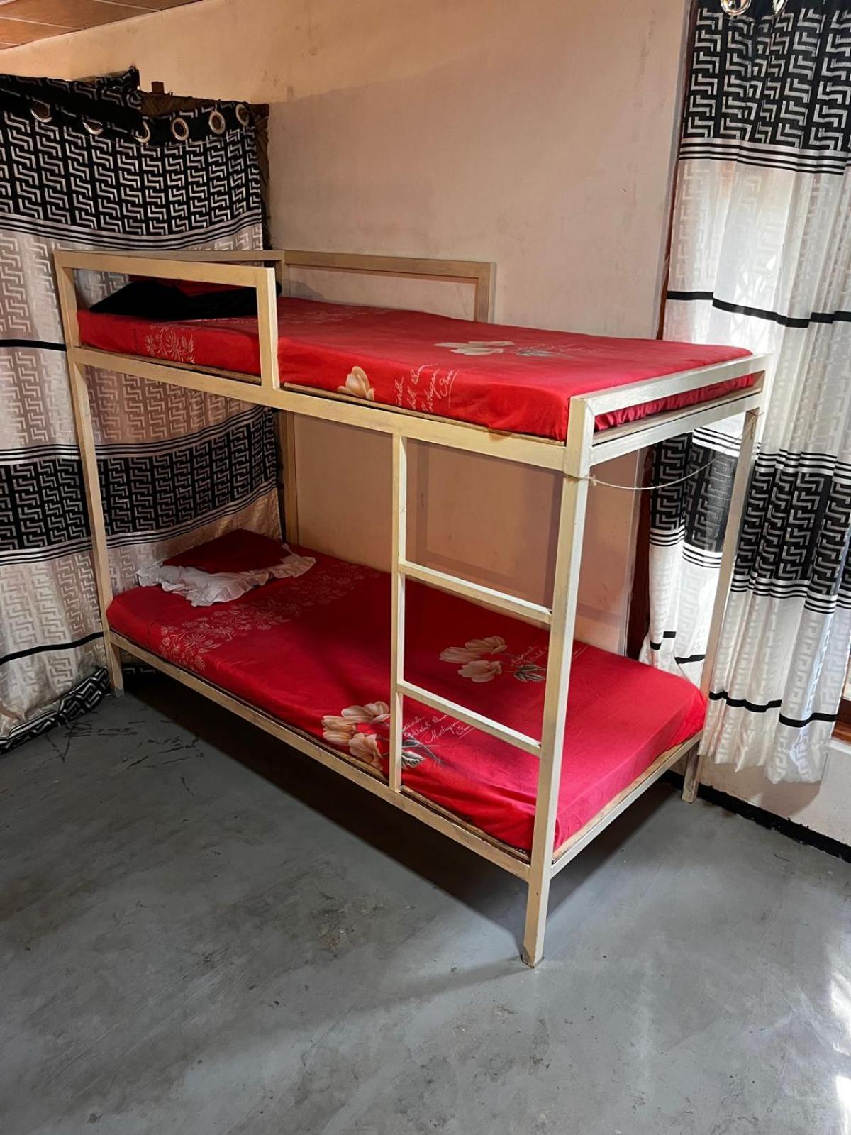 Surfing Lion Hostel Аругам Бей Екстериор снимка