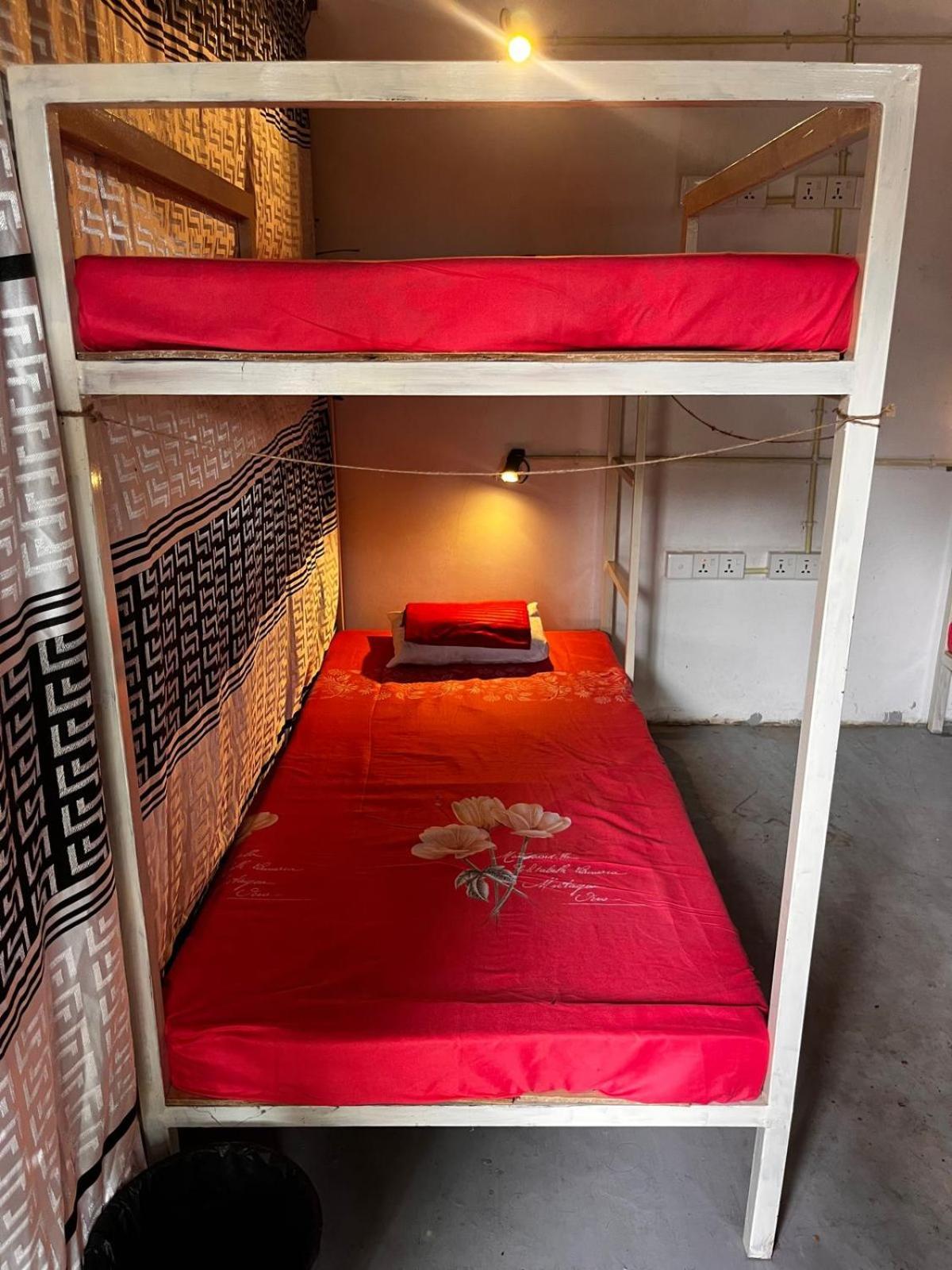 Surfing Lion Hostel Аругам Бей Екстериор снимка