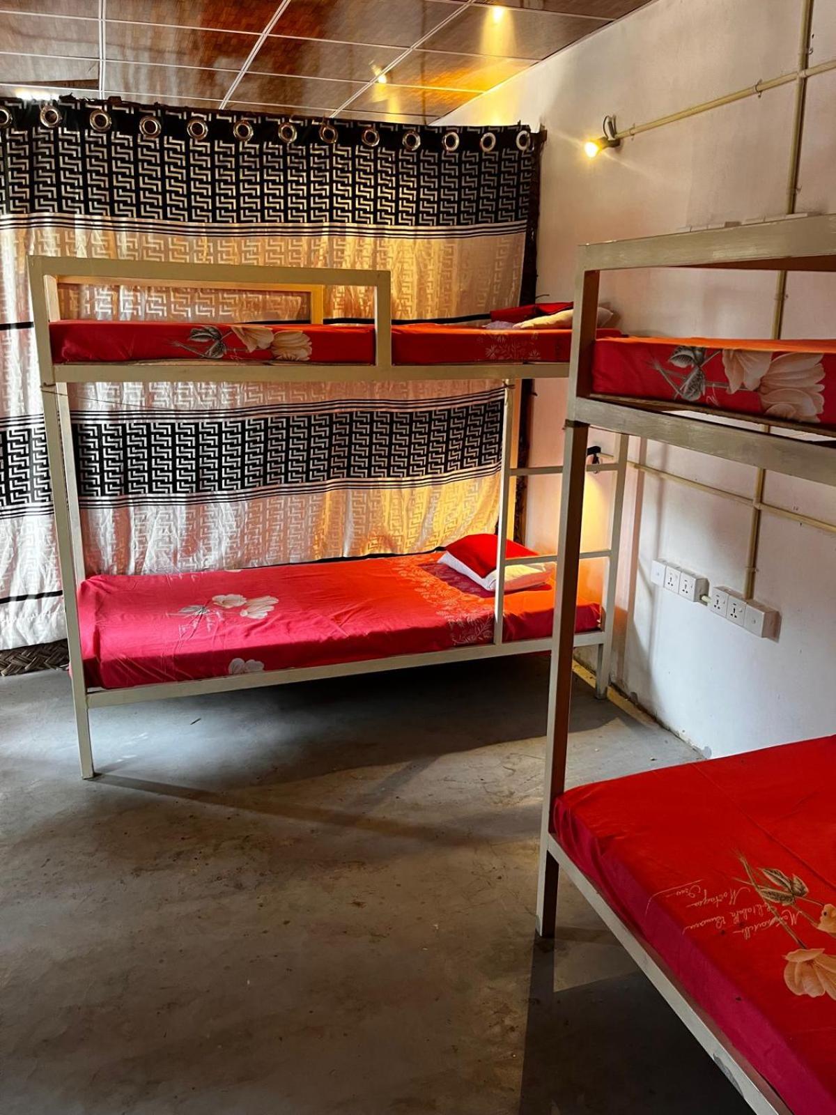 Surfing Lion Hostel Аругам Бей Екстериор снимка
