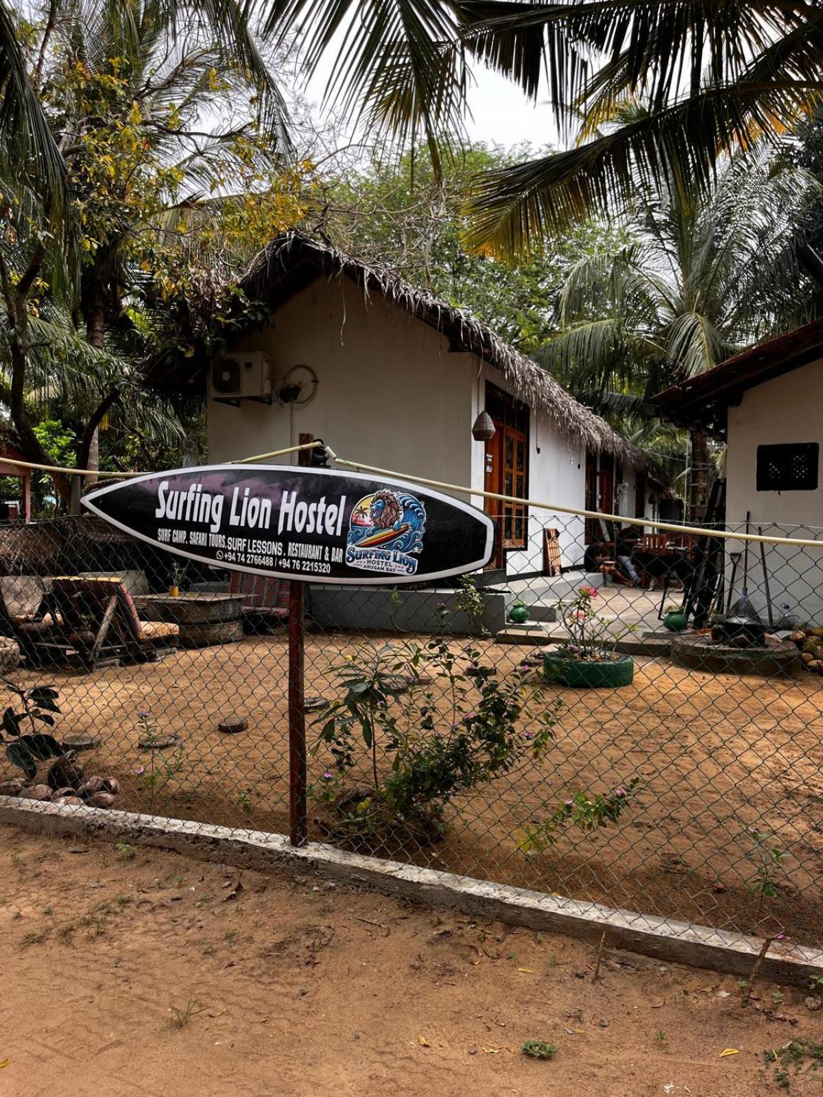 Surfing Lion Hostel Аругам Бей Екстериор снимка
