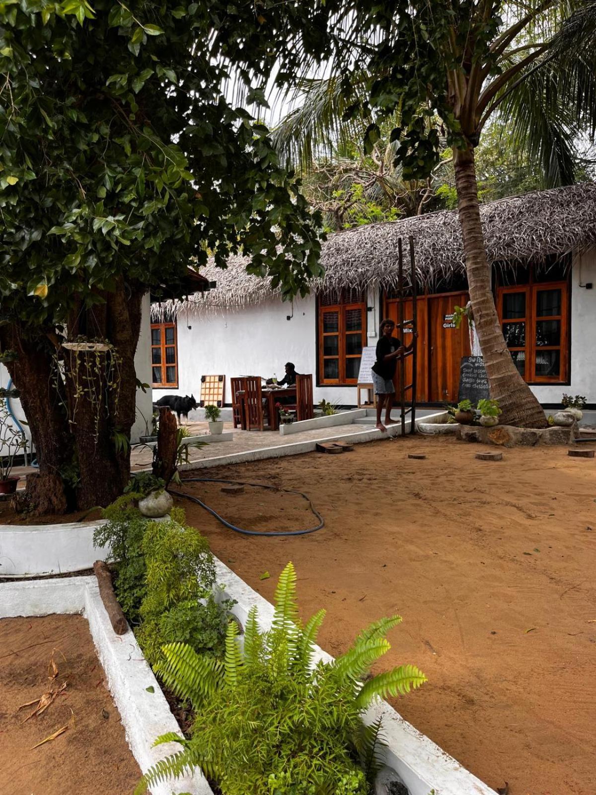 Surfing Lion Hostel Аругам Бей Екстериор снимка