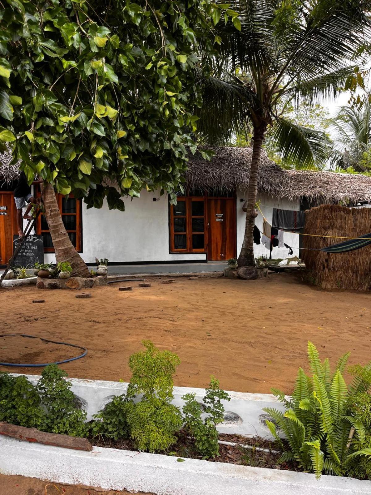 Surfing Lion Hostel Аругам Бей Екстериор снимка