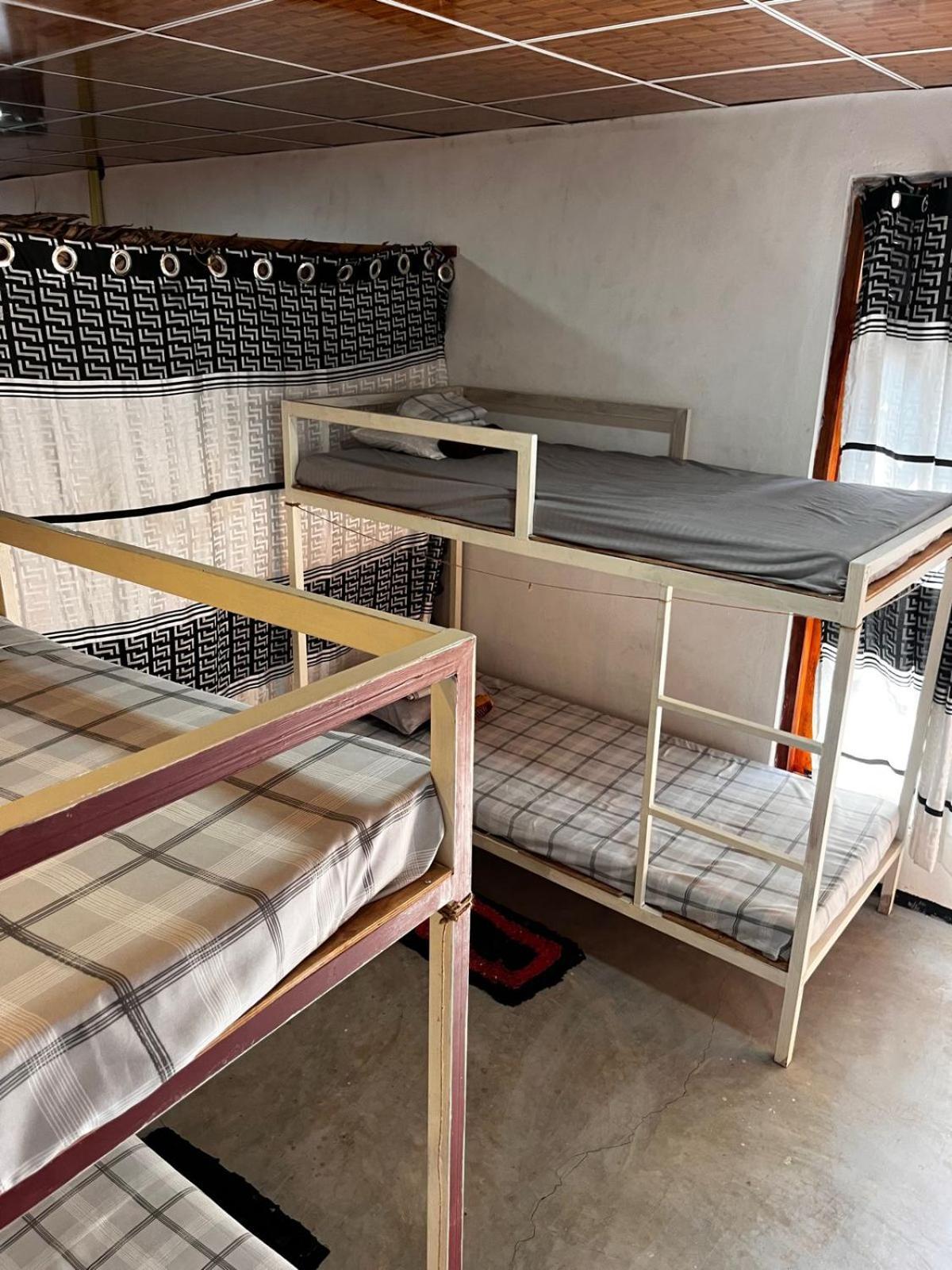 Surfing Lion Hostel Аругам Бей Екстериор снимка
