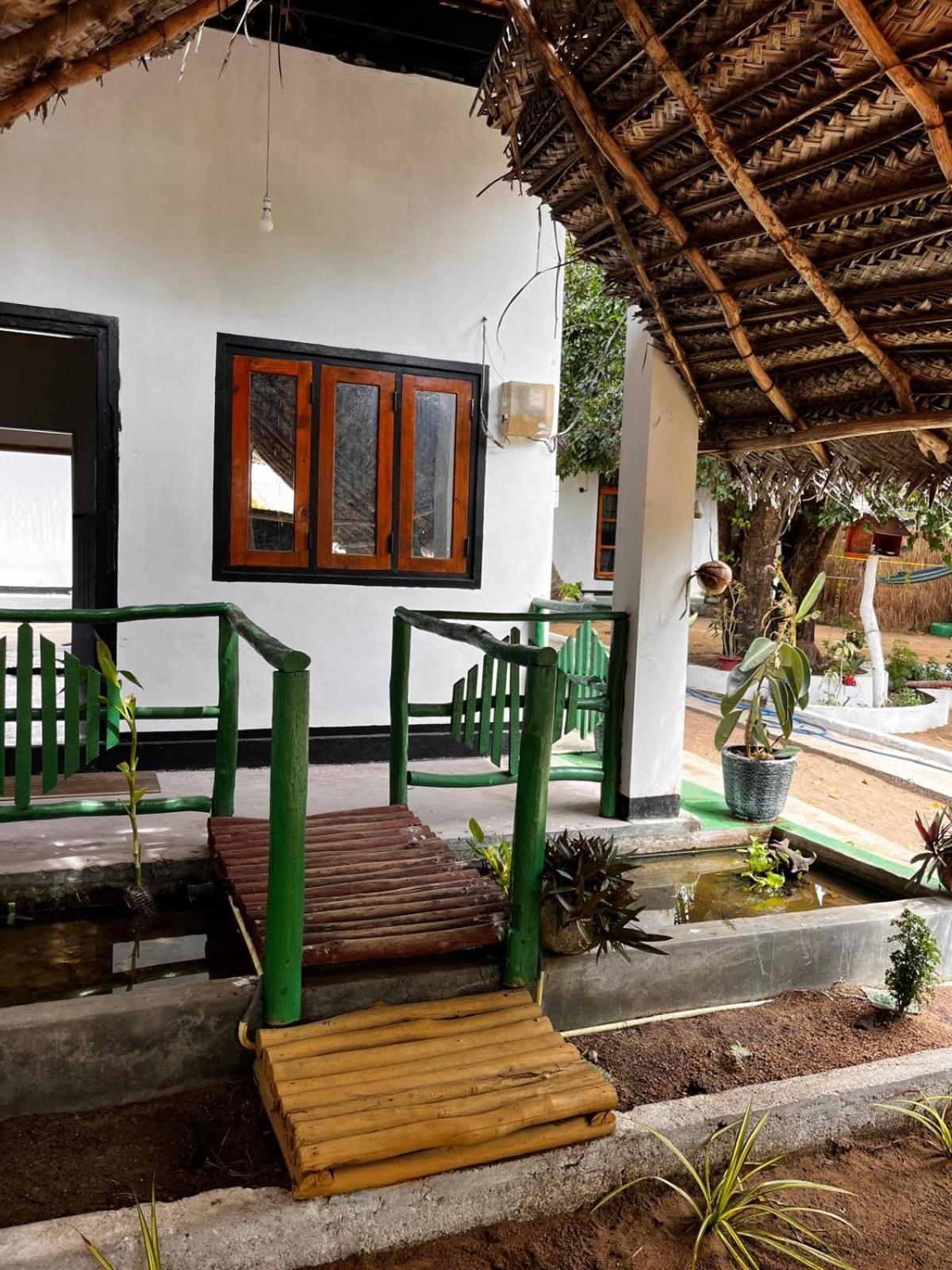 Surfing Lion Hostel Аругам Бей Екстериор снимка