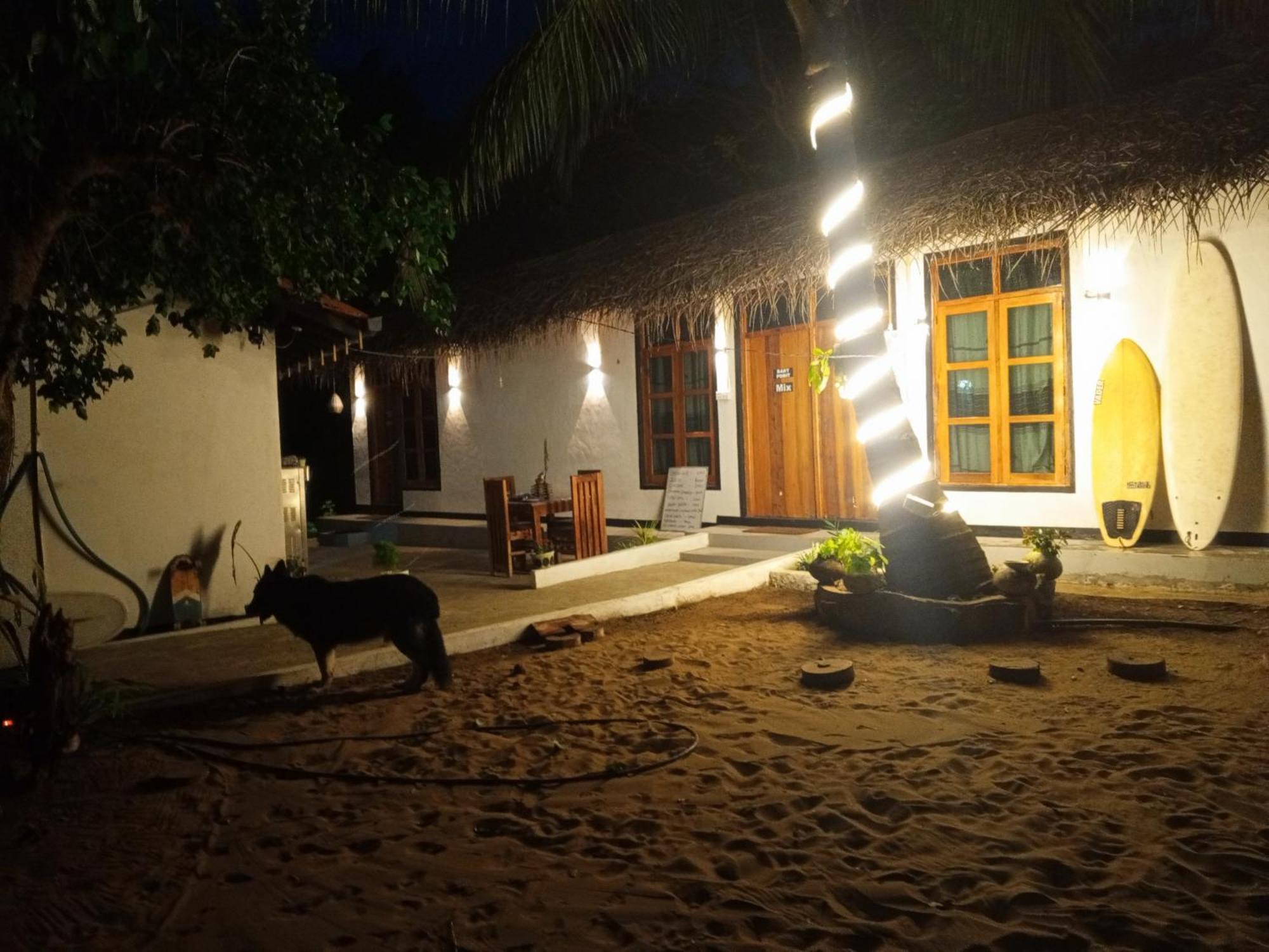 Surfing Lion Hostel Аругам Бей Екстериор снимка