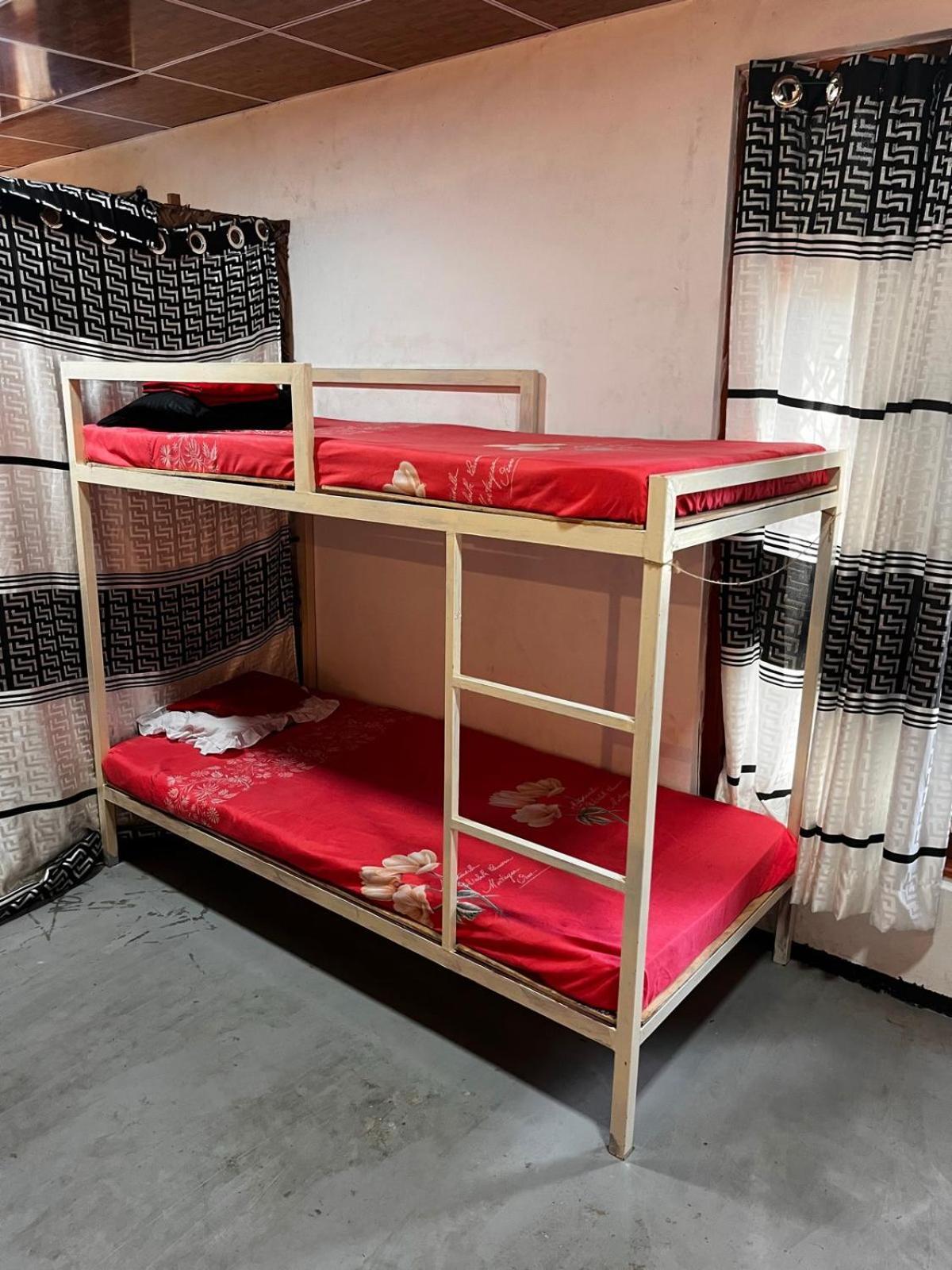 Surfing Lion Hostel Аругам Бей Екстериор снимка