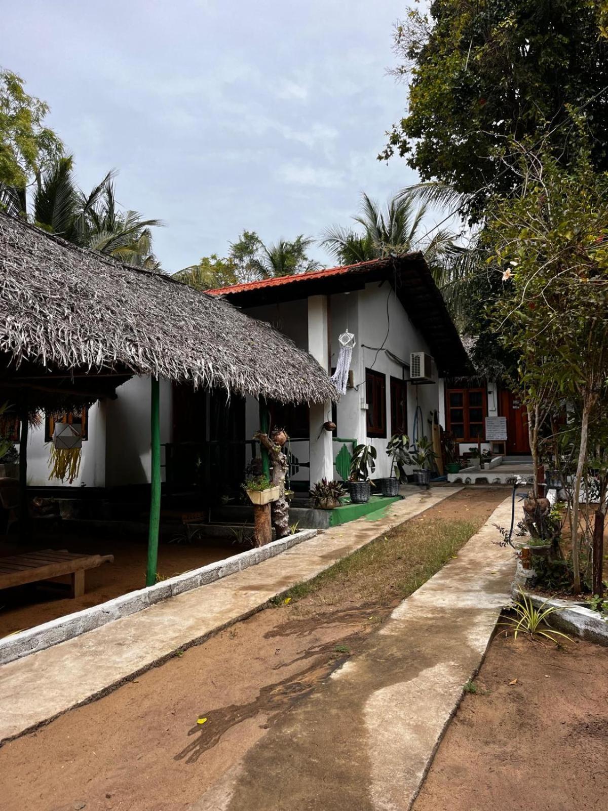Surfing Lion Hostel Аругам Бей Екстериор снимка