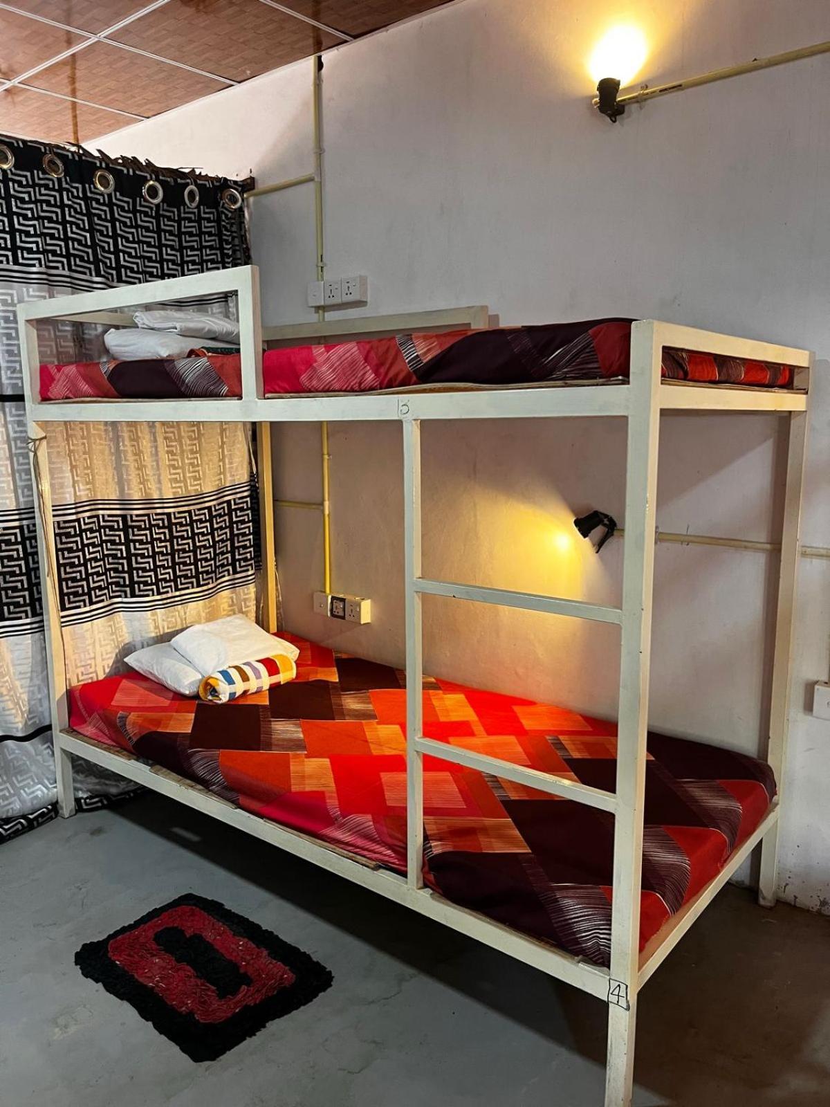 Surfing Lion Hostel Аругам Бей Екстериор снимка