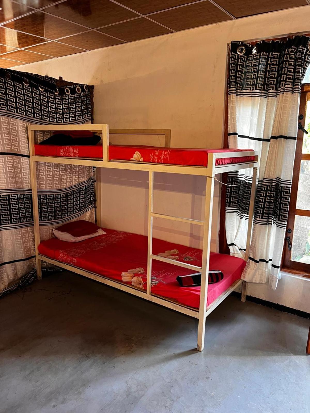 Surfing Lion Hostel Аругам Бей Екстериор снимка